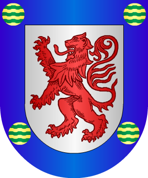 ESCUDO SIGUIENTE