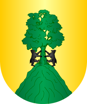 ESCUDO SIGUIENTE
