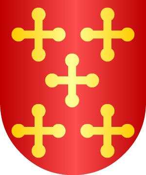 ESCUDO ALEATORIO