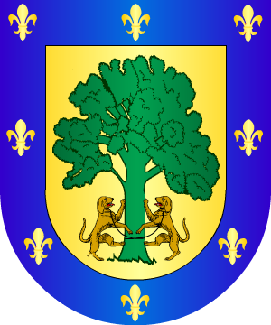 ESCUDO SIGUIENTE