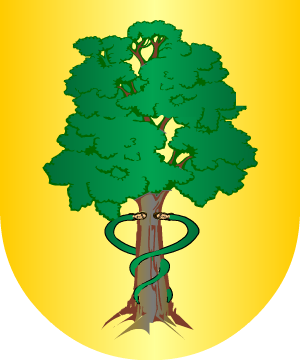 ESCUDO ALEATORIO