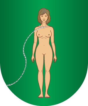 ESCUDO PRECEDENTE
