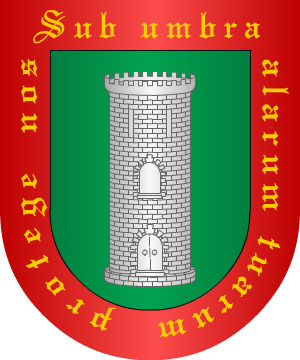 ESCUDO PRECEDENTE