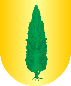 ESCUDO PRECEDENTE