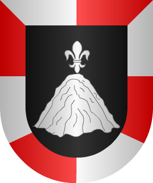 ESCUDO SIGUIENTE