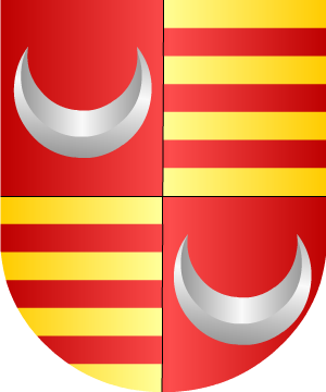 ESCUDO SIGUIENTE