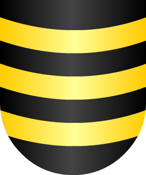 ESCUDO ALEATORIO