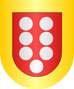 ESCUDO PRECEDENTE
