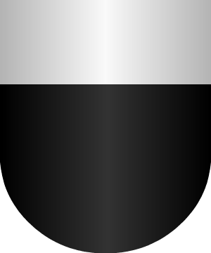 ESCUDO ALEATORIO