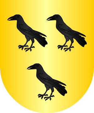 ESCUDO ALEATORIO