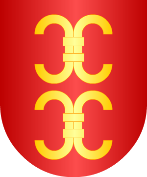 ESCUDO ALEATORIO