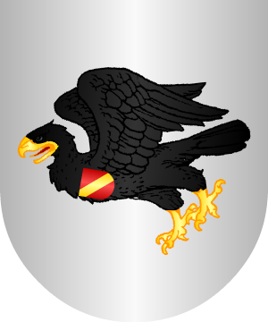 ESCUDO ALEATORIO