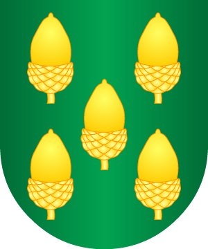 ESCUDO SIGUIENTE