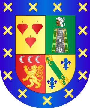 ESCUDO ALEATORIO