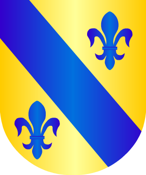 ESCUDO ALEATORIO