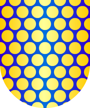 ESCUDO ALEATORIO