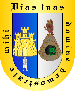 ESCUDO ALEATORIO