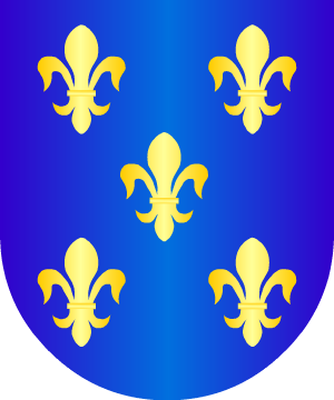 ESCUDO SIGUIENTE