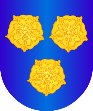 ESCUDO SIGUIENTE
