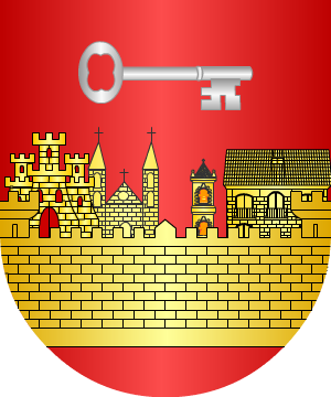 ESCUDO SIGUIENTE