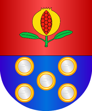 ESCUDO SIGUIENTE