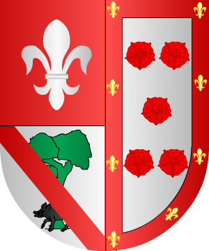 ESCUDO PRECEDENTE
