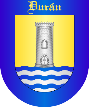 ESCUDO SIGUIENTE