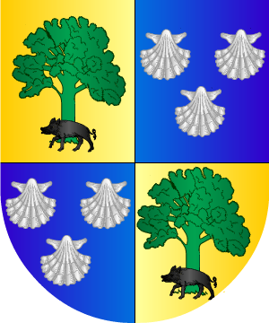 ESCUDO ALEATORIO