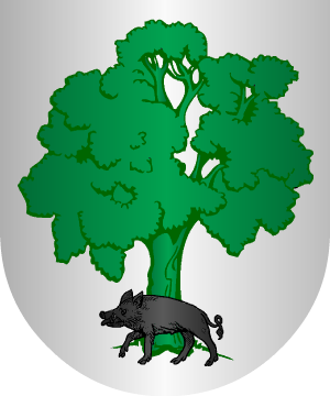 ESCUDO ALEATORIO
