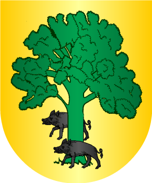 ESCUDO ALEATORIO
