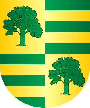 ESCUDO SIGUIENTE
