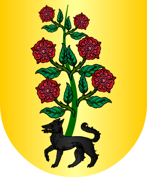 ESCUDO ALEATORIO