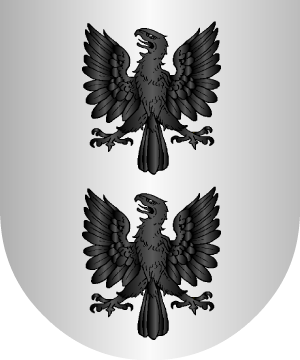 ESCUDO SIGUIENTE