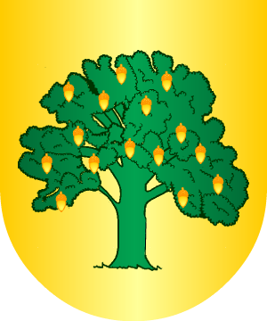 ESCUDO ALEATORIO