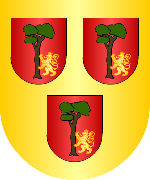 ESCUDO PRECEDENTE