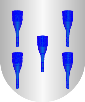 ESCUDO SIGUIENTE
