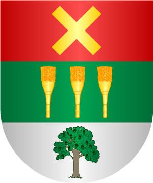 ESCUDO SIGUIENTE