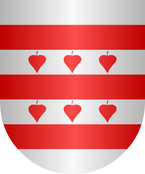 ESCUDO SIGUIENTE