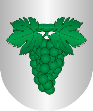 ESCUDO ALEATORIO