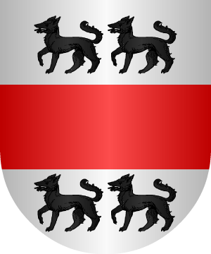 ESCUDO SIGUIENTE