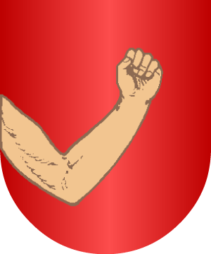 ESCUDO ALEATORIO