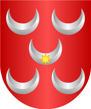 ESCUDO SIGUIENTE