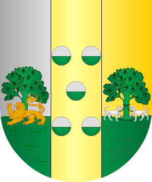 ESCUDO SIGUIENTE