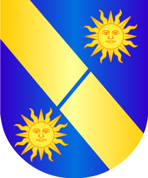 ESCUDO SIGUIENTE