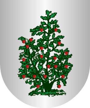 ESCUDO PRECEDENTE