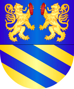 ESCUDO SIGUIENTE