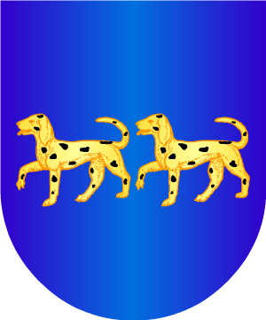 ESCUDO PRECEDENTE
