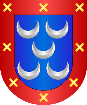 ESCUDO SIGUIENTE