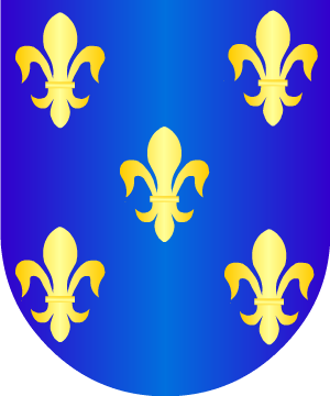 ESCUDO SIGUIENTE