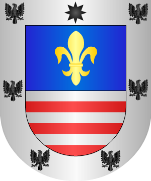 ESCUDO ALEATORIO